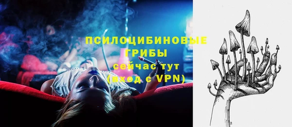 прущая мука Абаза