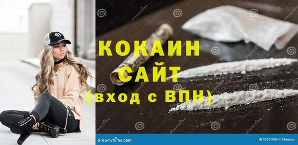 шишки Абинск