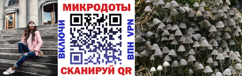 Галлюциногенные грибы прущие грибы Кедровый