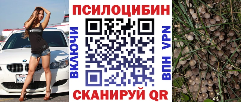что такое   Кедровый  Галлюциногенные грибы Psilocybe 